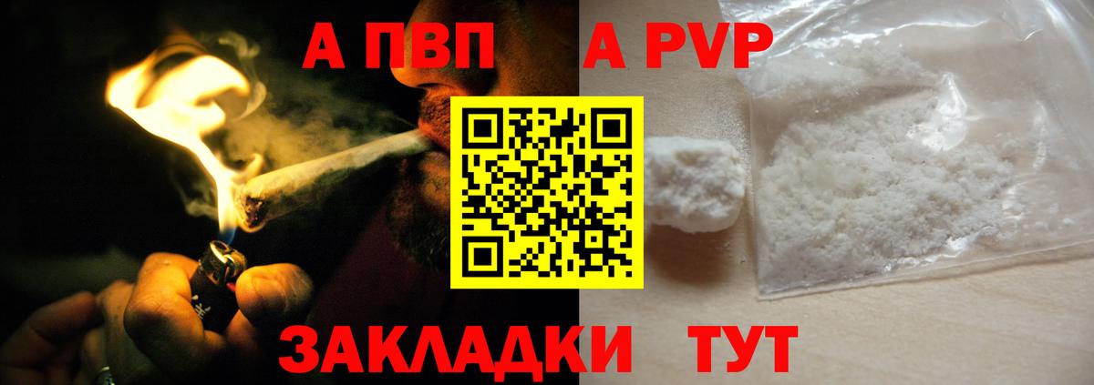 дарнет шоп  Alpha PVP СК  Вход с VPN  Хабаровск 