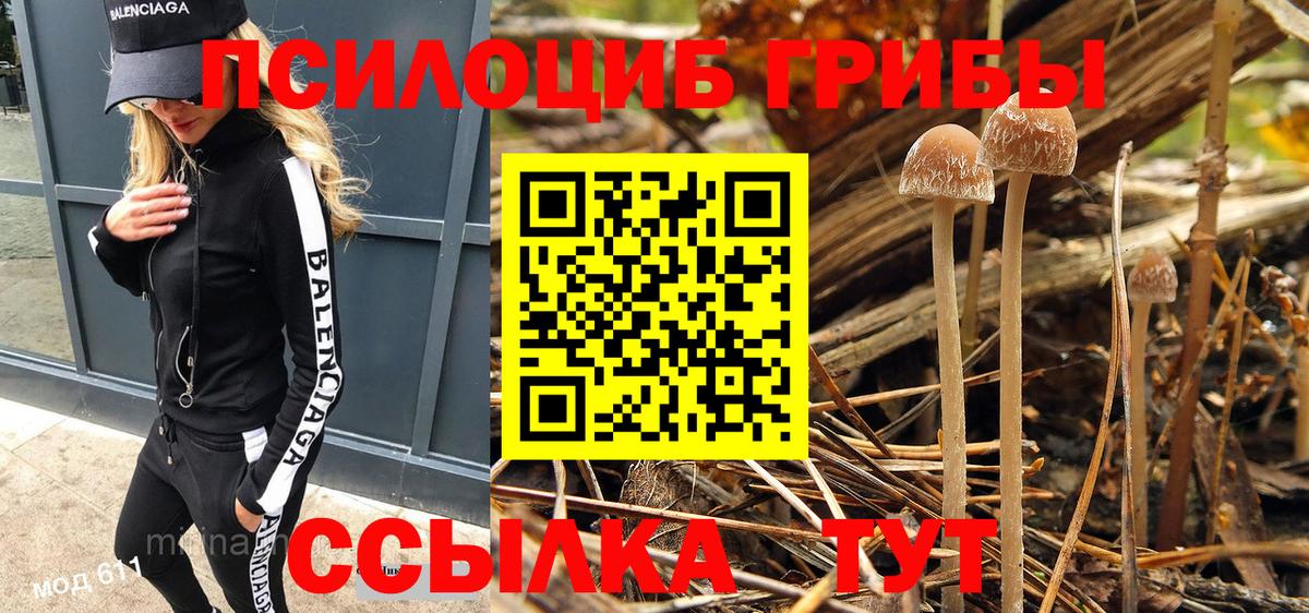 Хабаровск  Псилоцибиновые грибы прущие грибы  Вход с VPN  Галлюциногенные грибы мицелий 